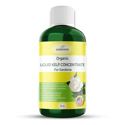 Organic Premium Kelp Seaweed Concentrate by GARDENWISE