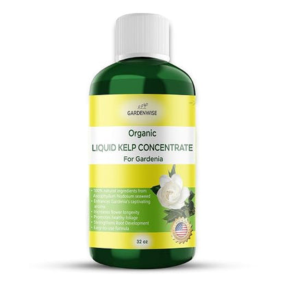 Organic Premium Kelp Seaweed Fertilizer by GARDENWISE