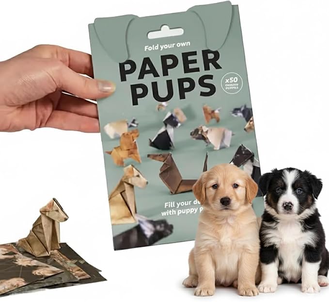 DIY Paper Cats Origami Kit by Unknown