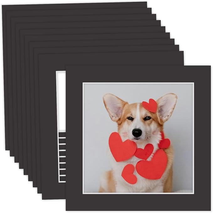 MBC Mat Board Center, 10 Pack 10x10 by MatBoardCenter