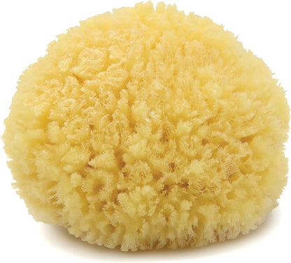 Neptune Caribbean Sea Sponge, Hand Cut, Approx. 5-6 inches by Unknown