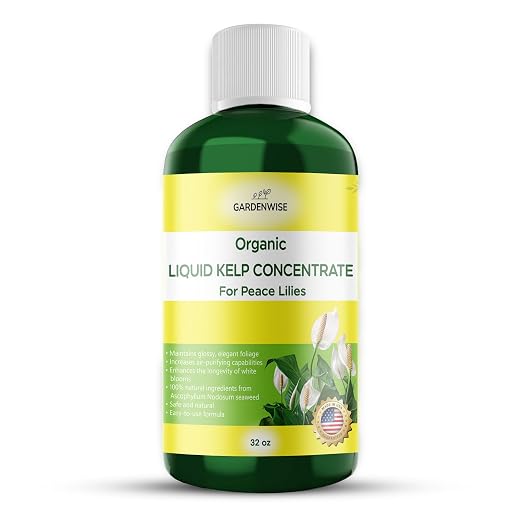 Organic Premium Kelp Seaweed Fertilizer by GARDENWISE