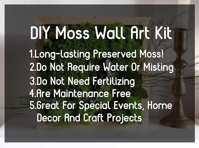 Preserved Reindeer Moss Natural Green DIY Kit Gardenning Art Wall Decor Florist - Image 3