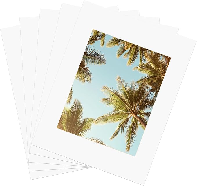ZBEIVAN 11x14 White Picture Mats by ZBEIVAN