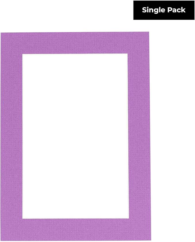 Poster Palooza 8.5x11 Mat Bevel Cut - Image 2