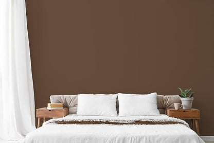 EVOLVE Paint & Primer: Environment-friendly, Low Sheen - Image 4
