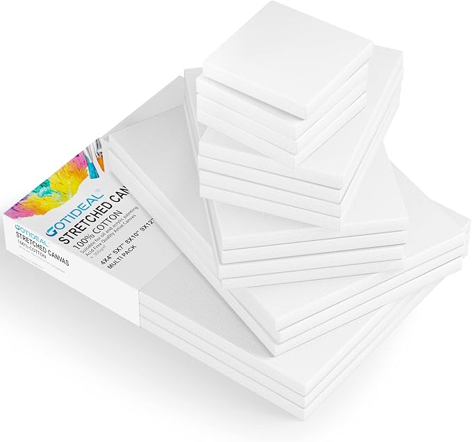 GOTIDEAL18Pcs Stretched Canvases - Image 2