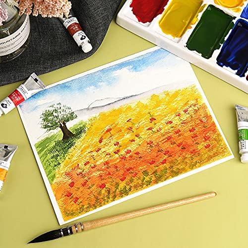 Paul Rubens Watercolor Paint, 24 Vibrant Colors Highly Pigmented, 5ml Each Tube - Image 6