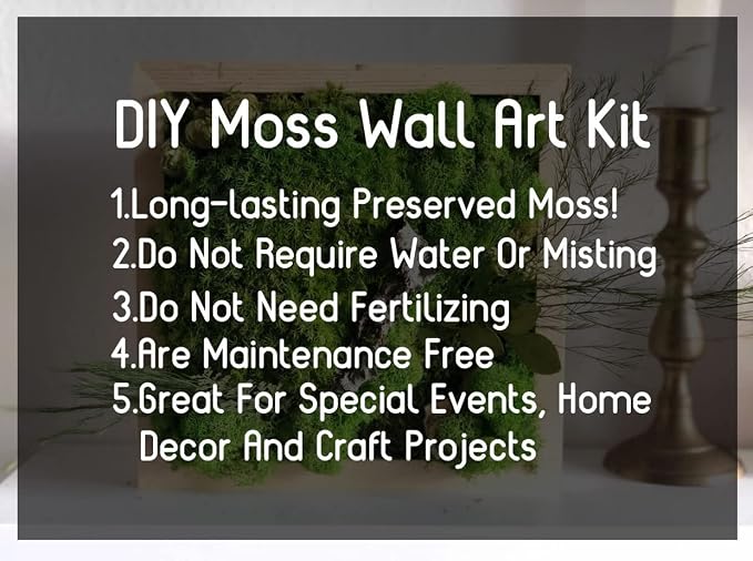 Preserved Reindeer Moss Natural Green DIY Kit Gardenning Art Wall Decor Florist - Image 5