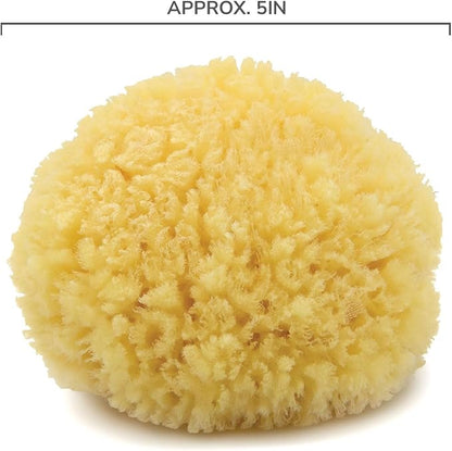 Neptune Caribbean Sea Sponge, Hand Cut, Approx. 5-6 inches - Image 3