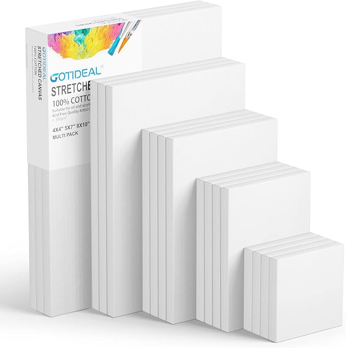 GOTIDEAL18Pcs Stretched Canvases by GOTIDEAL