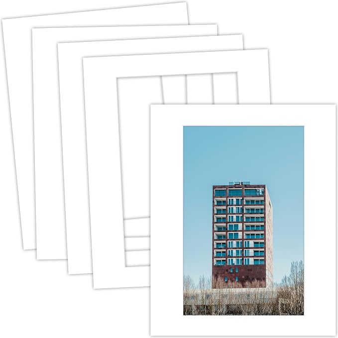 MBC Mat Board Center, 5 Pack 16x20 by MatBoardCenter