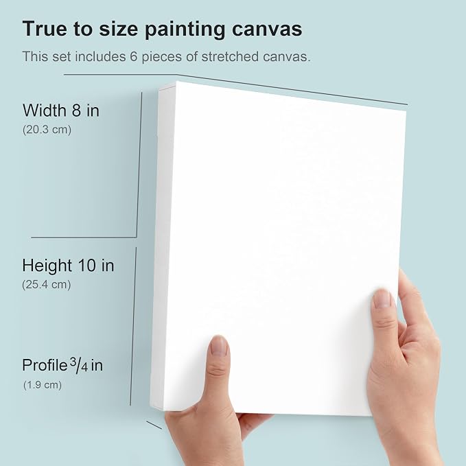 PHOENIX 8x10 Inch 6 Pack Artist Canvas - Image 2