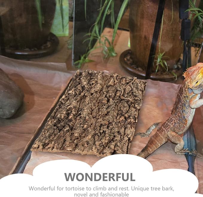Totority Cork Bark 3Pcs Plants Decor Cork Terrarium Background, Cork Tile - Image 2