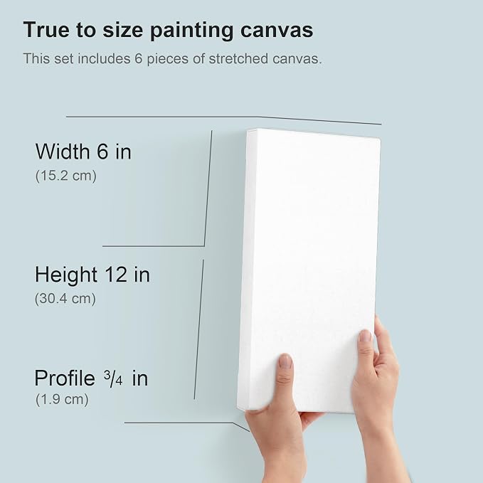 PHOENIX 6x12 Inch 6 Pack Artist Canvas - Image 2
