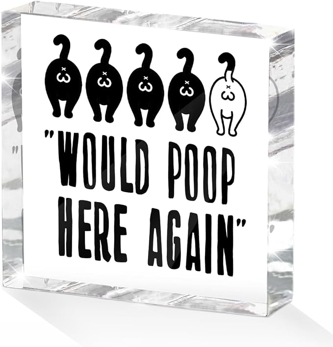 Funny Cat Bathroom Decor Acrylic Decorative Signs 4X4 Inch, Humorous Decorations by Unknown