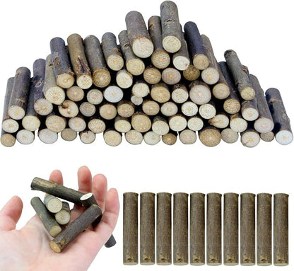 FSWCCK 100 PCS Craft Sticks, 2 Inch Natural Birch Twigs Sticks, Mini Wood Log by FSWCCK