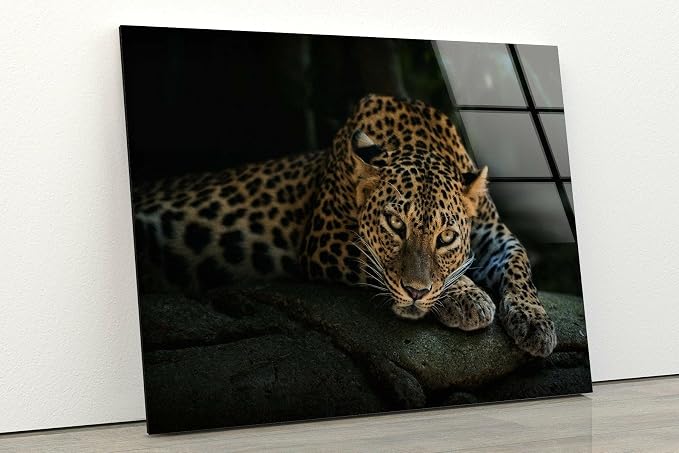 My Photostation.com 43Wx27H'' Fierce Leopard Glass Wall ArtTempered Glass - Image 3