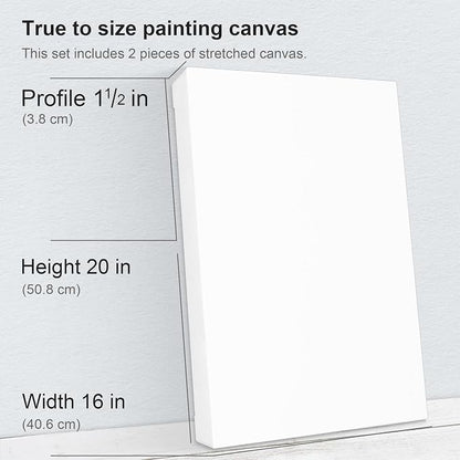 PHOENIX 16x20 Inch 2 Pack Gallery Canvas - Image 2