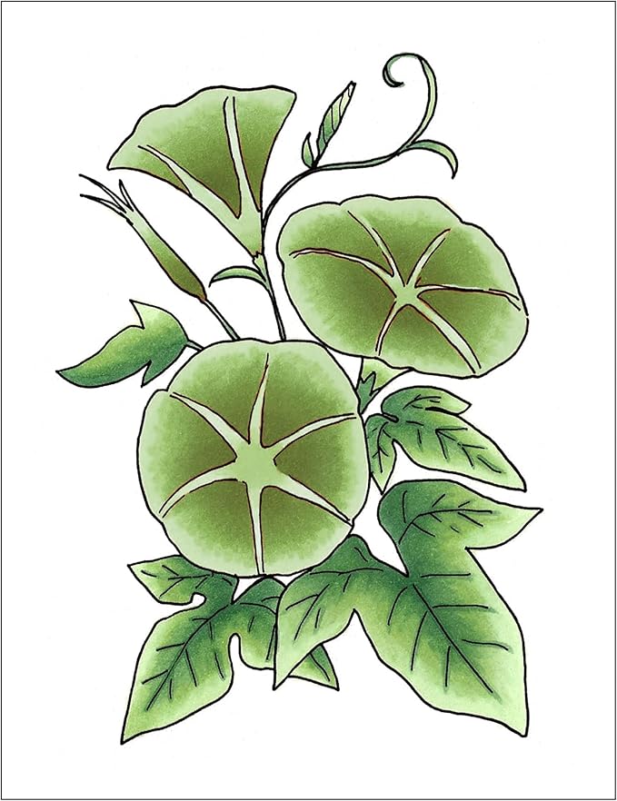 Copic Sketch, Alcohol Markers, Dual Brush Tip Art Marker - Image 3