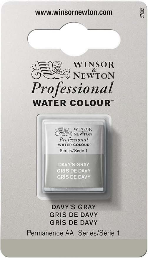 Winsor & Newton Professional Water Colour Paint, Half Pan, Davy's Gray by WinsorNewton