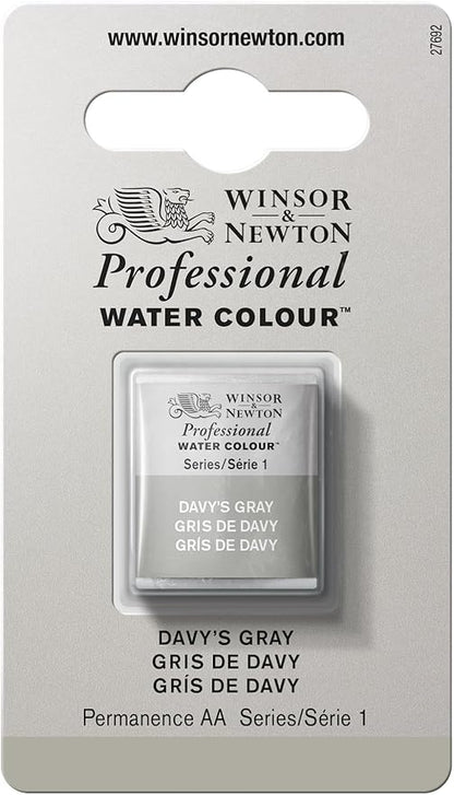 Winsor & Newton Professional Water Colour Paint, Half Pan, Davy's Gray by WinsorNewton