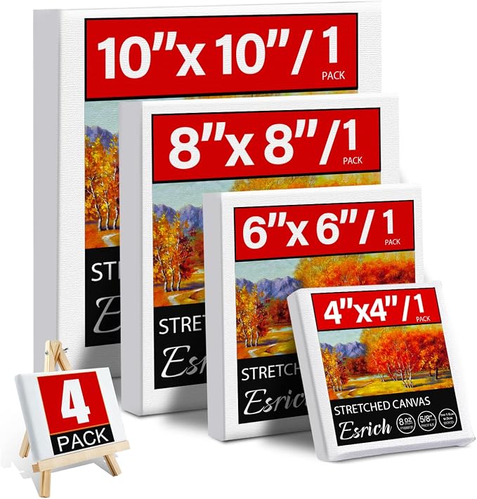 4 Packs Square Canvases for Painting by ESRICH