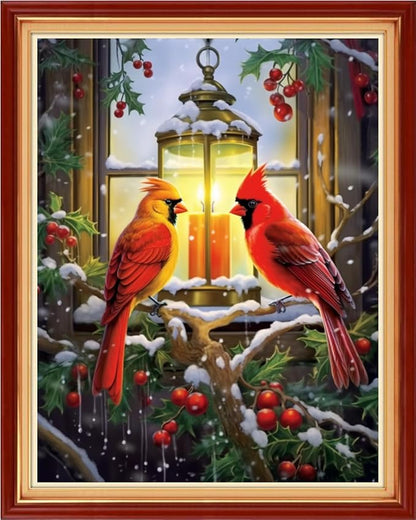 Dooxvey Cross Stitch Kit for Adult Beginners by DooxveyStampedEmbroideryKit