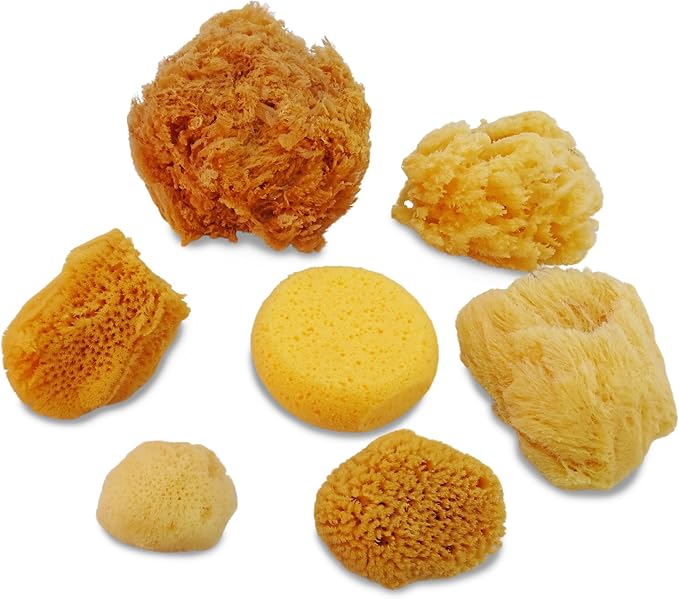 Natural Sea & Synthetic Sponges - Image 3