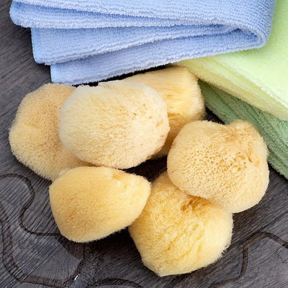 Sea Silk Sponge 6pc Kit, Hand Cut, Approx. 1-2 inches - Image 2