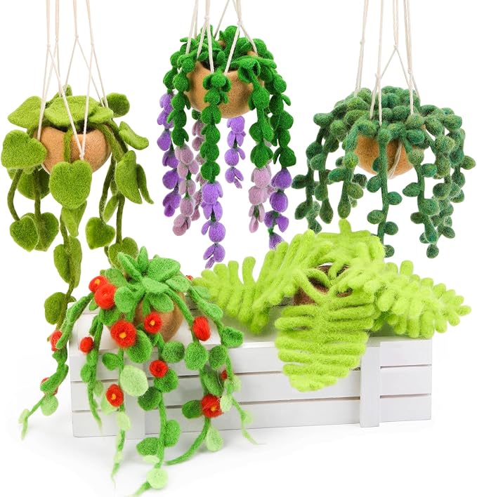 OEHPICC Needle Felting Kit, 5 Pack Hanging Plants Needle Felt Beginner Kit by OEHPICC
