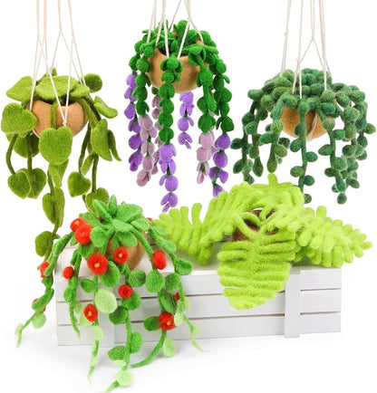 OEHPICC Needle Felting Kit, 5 Pack Hanging Plants Needle Felt Beginner Kit by OEHPICC