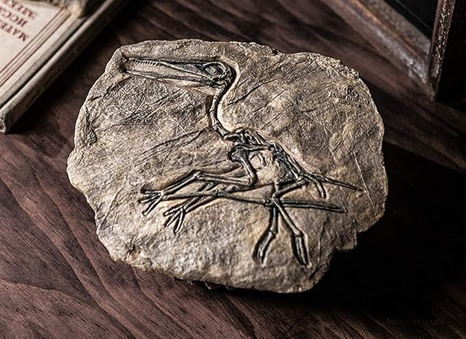 XINDAM Resin Dinosaur Fossil Statue Model Simulated Skeleton Home Office - Image 2