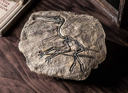 XINDAM Resin Dinosaur Fossil Statue Model Simulated Skeleton Home Office - Image 2