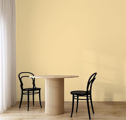 EVOLVE Paint & Primer: Environment-friendly, Low Sheen - Image 5