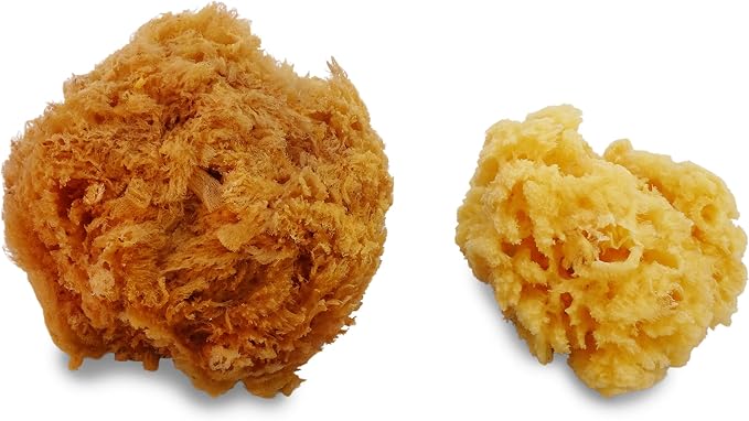Natural Sea & Synthetic Sponges - Image 4