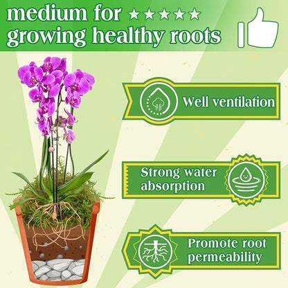 Halatool 6OZ Green Moss for Indoor Plants, 8QT Orchid Moss for Repotting - Image 3