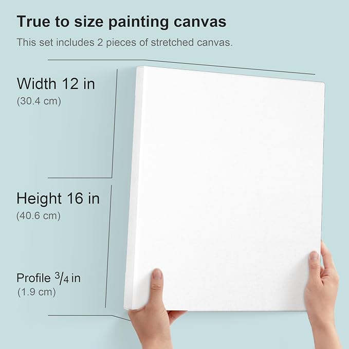 PHOENIX 12x16 Inch Pack of 2 Artist Canvas - Image 2