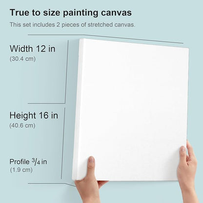 PHOENIX 12x16 Inch Pack of 2 Artist Canvas - Image 2