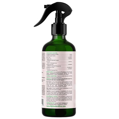 Orchid Food Bloom Booster Fertilizer - Image 2