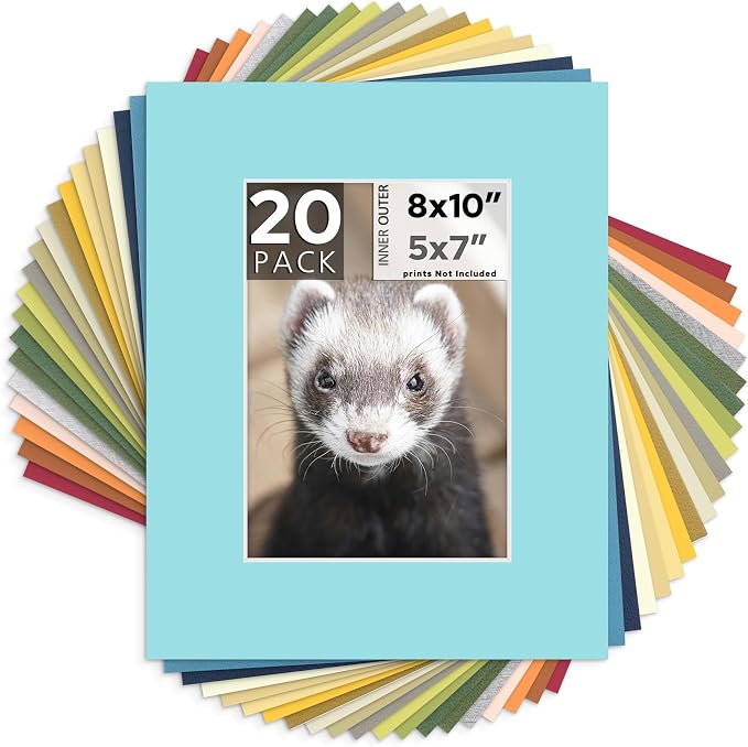 Mat Board Center, 8x10 Mixed Colors White Core Picture Mats Mattes Matting by MatBoardCenter