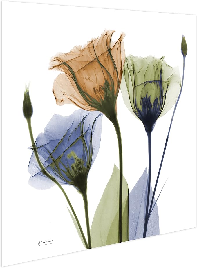 Empire Art Direct Frameless Free Floating Tempered Glass Panel Graphic Wall Art - Image 4