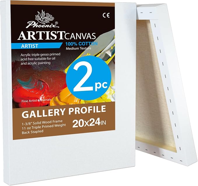 PHOENIX 20x24 Inch 2 Pack Gallery Canvas by PHOENIX