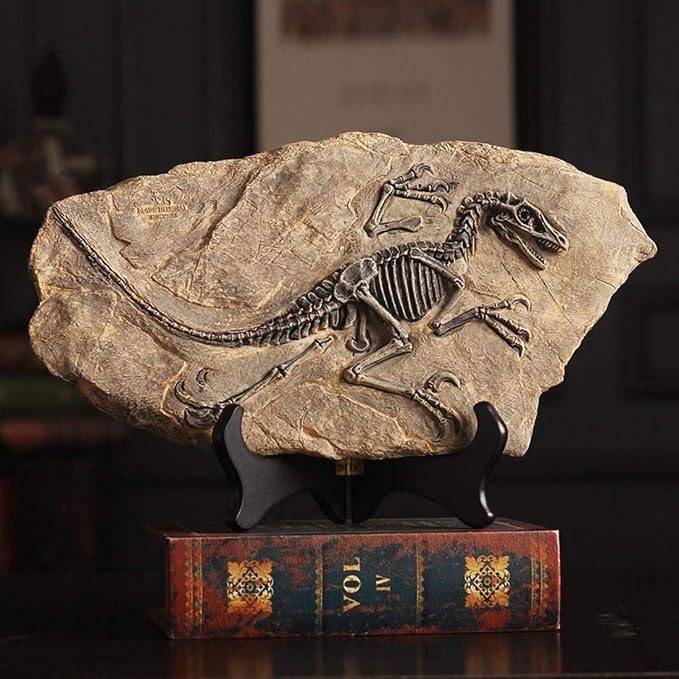 XINDAM Resin Dinosaur Fossil Statue Model Simulated Skeleton Home Office by XINDAM