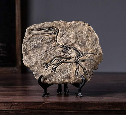 XINDAM Resin Dinosaur Fossil Statue Model Simulated Skeleton Home Office by XINDAM