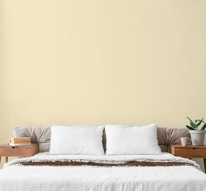 EVOLVE Paint & Primer: Environment-friendly, Low Sheen - Image 4