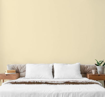 EVOLVE Paint & Primer: Environment-friendly, Low Sheen - Image 4