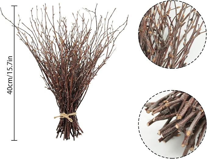 Uieke 50PCS Birch Twigs – 17 Inch Natural Dried Plants Decorative Birch Branches - Image 4