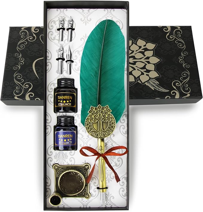 Quill pen ink set, Feather Pen and Ink Set, Antique Calligraphy Pen by TIANREN