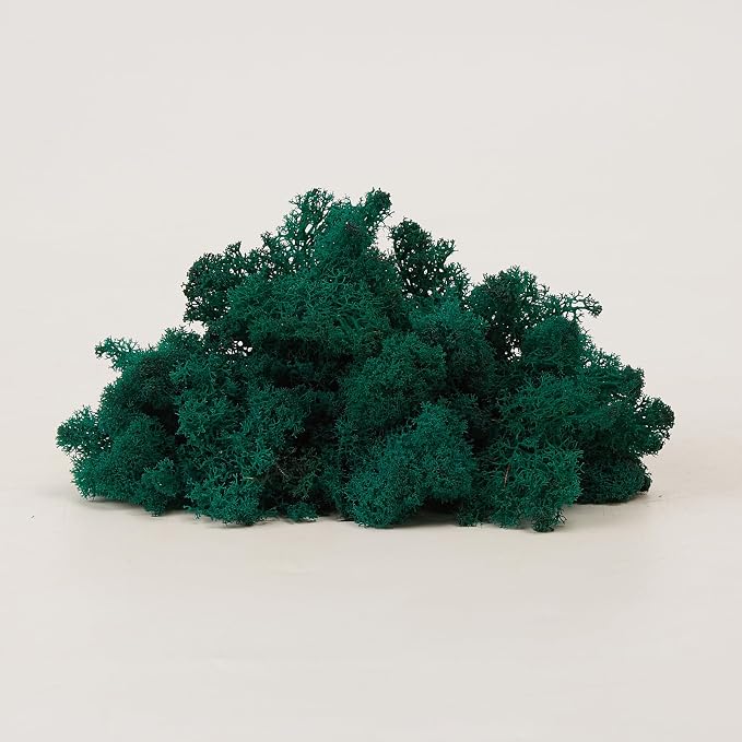 Preserved Reindeer Moss Natural Green DIY Kit Gardenning Art Wall Decor Florist - Image 8